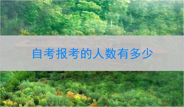 自考报考的人数有多少