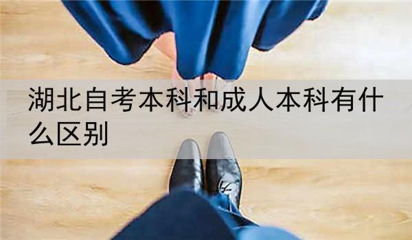 湖北自考本科和成人本科有什么区别