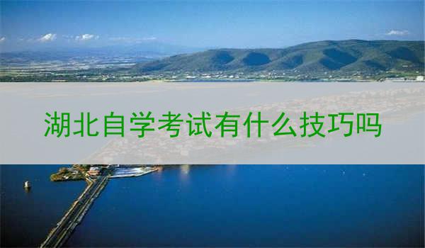 湖北自学考试有什么技巧吗