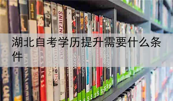 湖北自考学历提升需要什么条件