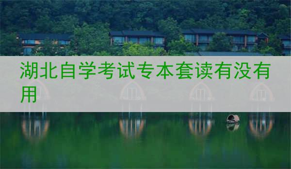 湖北自学考试专本套读有没有用