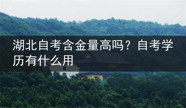 湖北自考含金量高吗？自考学历有什么用
