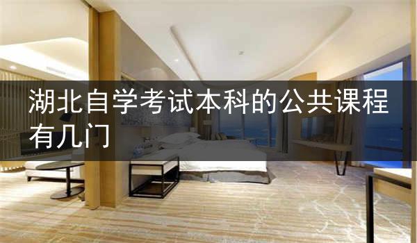 湖北自学考试本科的公共课程有几门