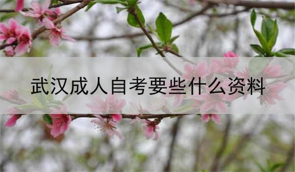 武汉成人自考要些什么资料