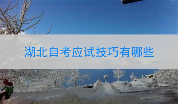 湖北自考应试技巧有哪些