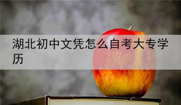 湖北初中文凭怎么自考大专学历
