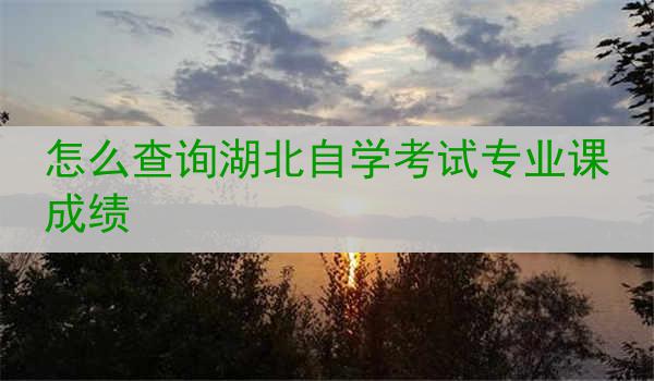 怎么查询湖北自学考试专业课成绩