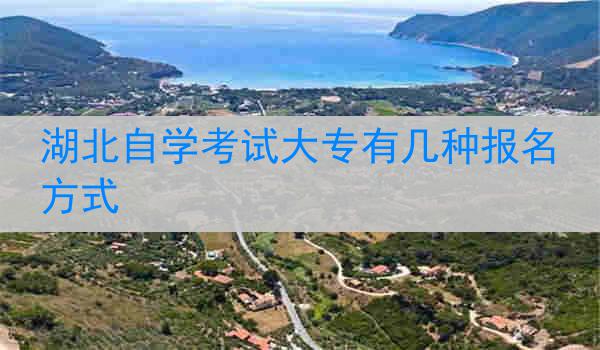 湖北自学考试大专有几种报名方式
