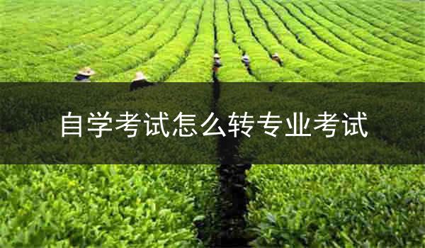 自学考试怎么转专业考试