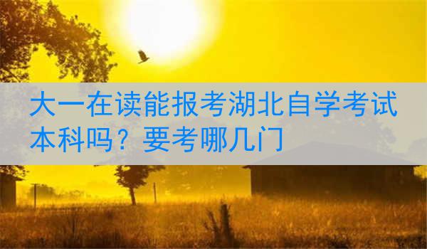 大一在读能报考湖北自学考试本科吗？要考哪几门