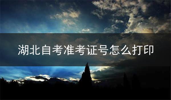 湖北自考准考证号怎么打印