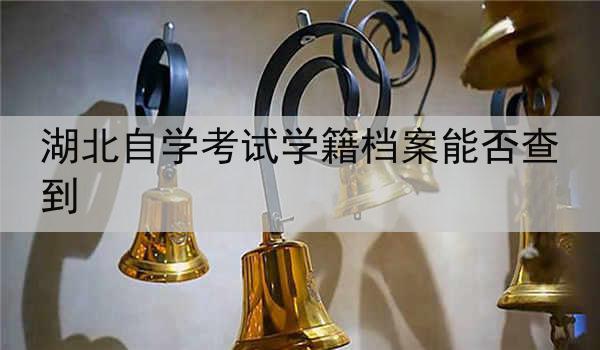 湖北自学考试学籍档案能否查到