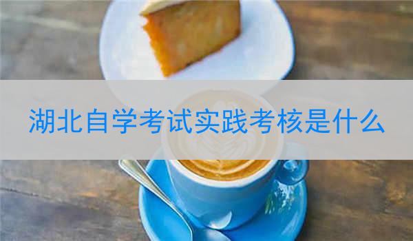 湖北自学考试实践考核是什么