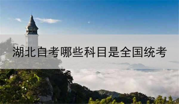 湖北自考哪些科目是全国统考