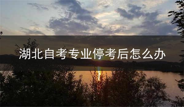 湖北自考专业停考后怎么办