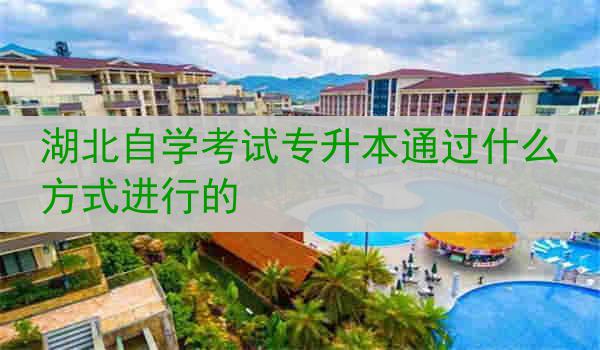 湖北自学考试专升本通过什么方式进行的