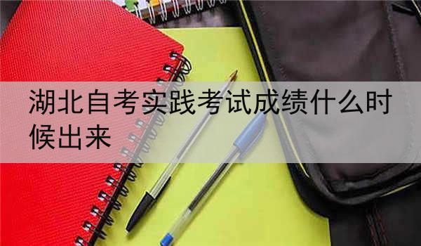 湖北自考实践考试成绩什么时候出来