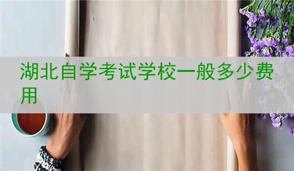 湖北自学考试学校一般多少费用