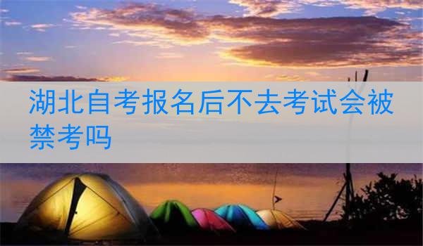 湖北自考报名后不去考试会被禁考吗