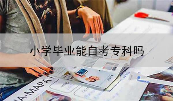 小学毕业能自考专科吗