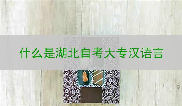 什么是湖北自考大专汉语言