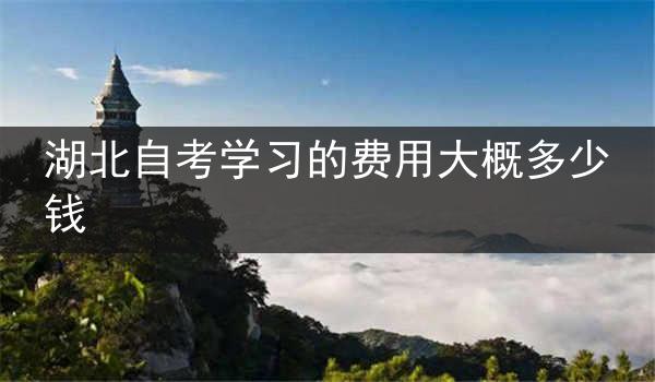 湖北自考学习的费用大概多少钱