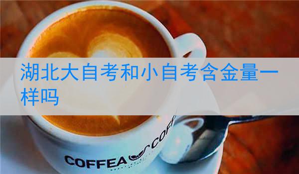 湖北大自考和小自考含金量一样吗