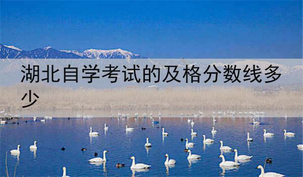 湖北自学考试的及格分数线多少