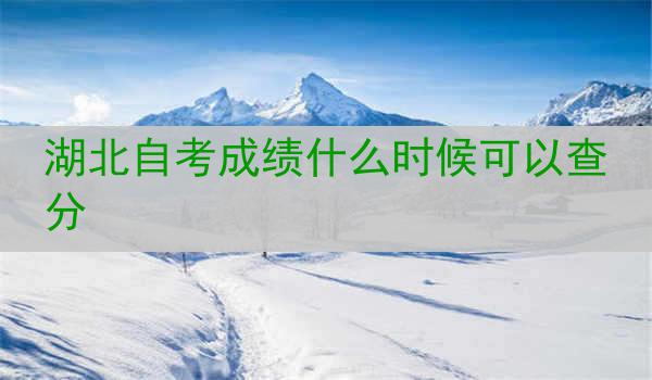 湖北自考成绩什么时候可以查分