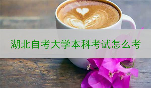 湖北自考大学本科考试怎么考