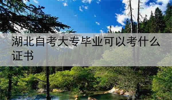 湖北自考大专毕业可以考什么证书