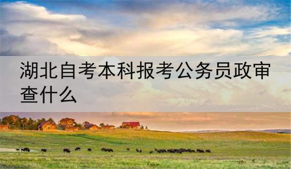湖北自考本科报考公务员政审查什么