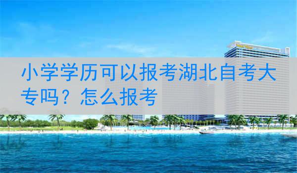 小学学历可以报考湖北自考大专吗？怎么报考