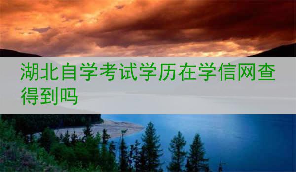湖北自学考试学历在学信网查得到吗