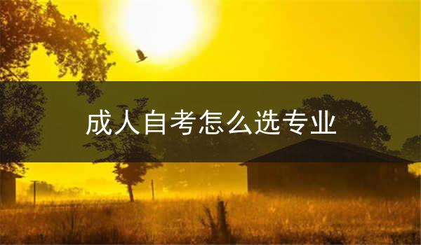 成人自考怎么选专业