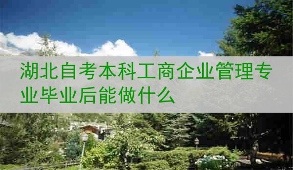 湖北自考本科工商企业管理专业毕业后能做什么