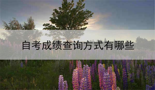 自考成绩查询方式有哪些