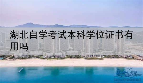 湖北自学考试本科学位证书有用吗