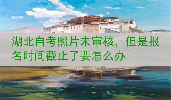湖北自考照片未审核，但是报名时间截止了要怎么办