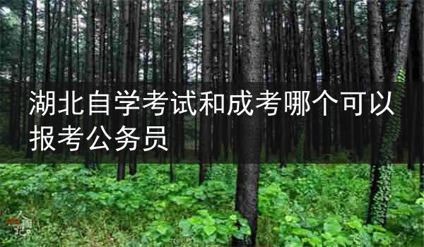湖北自学考试和成考哪个可以报考公务员