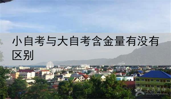 小自考与大自考含金量有没有区别