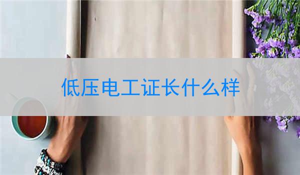 低压电工证长什么样