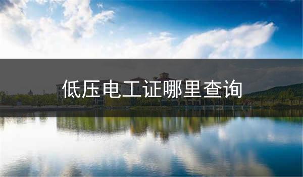 低压电工证哪里查询