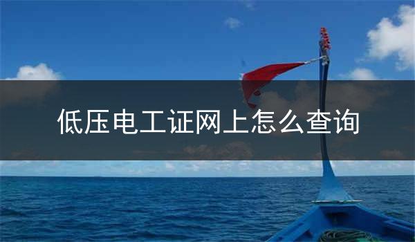 低压电工证网上怎么查询