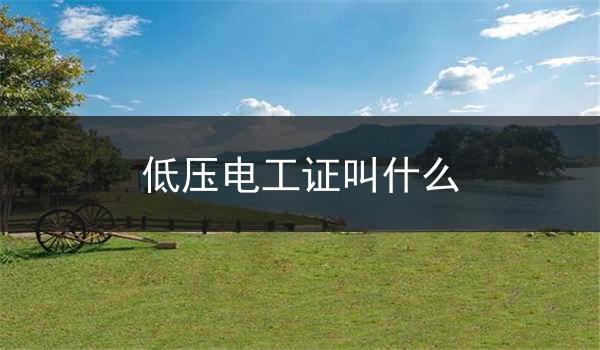 低压电工证叫什么