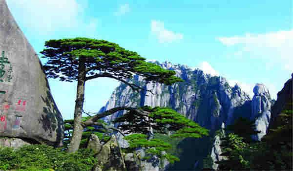 低压电工证怎么考要多少钱