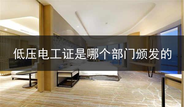 低压电工证是哪个部门颁发的