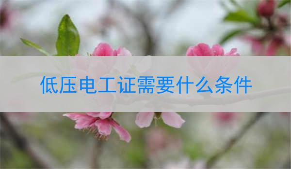 低压电工证需要什么条件