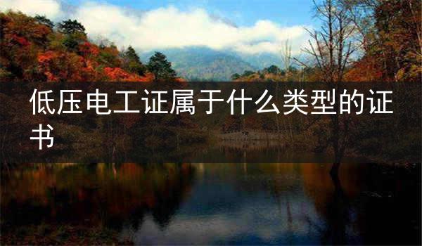 低压电工证属于什么类型的证书
