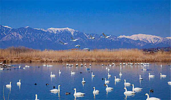 国家开放大学的土木工程专业就业方向是什么？